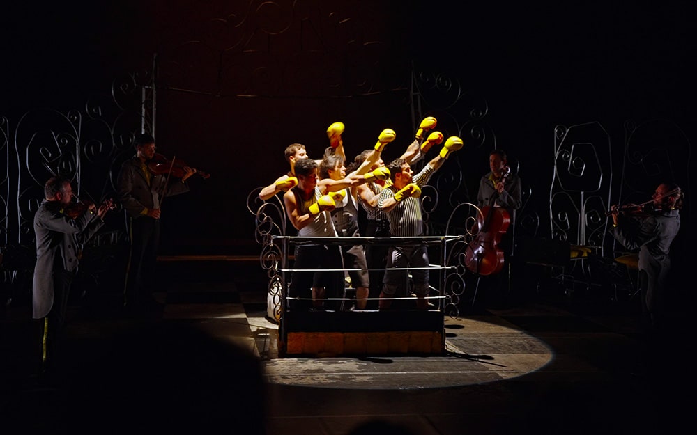 boxe boxe brasil kafig moovance