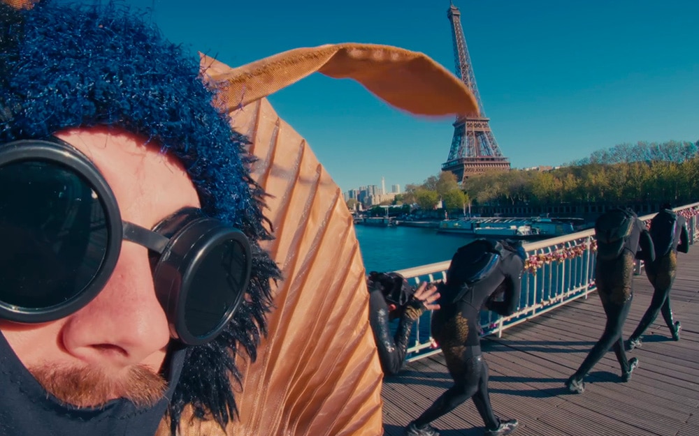 insectes in paris moovance x lady rocks